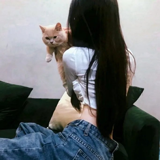 救命缉约